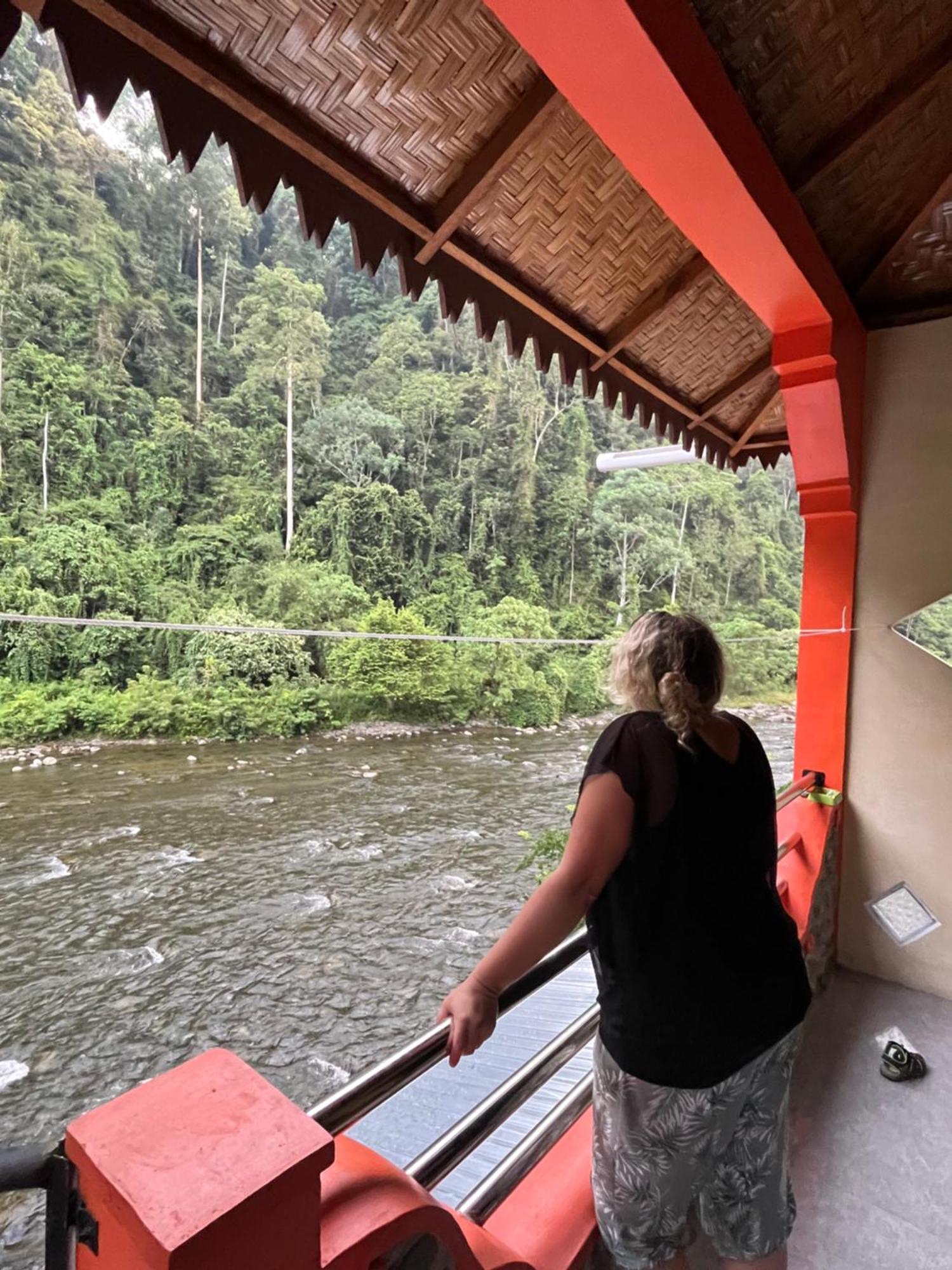 Ridho'S Homestay & Jungle Trekking Bukit Lawang Room photo